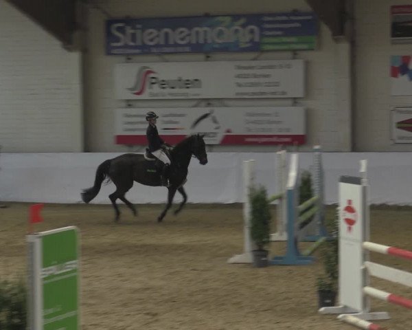 Reitturnier Borken 2023