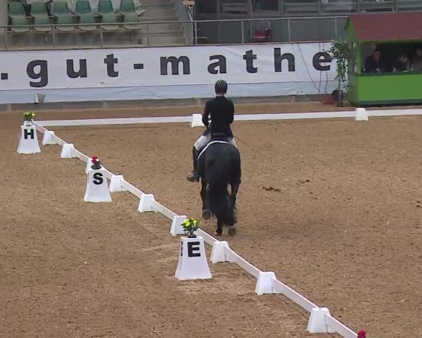 Reitturnier Kreuth 2023
