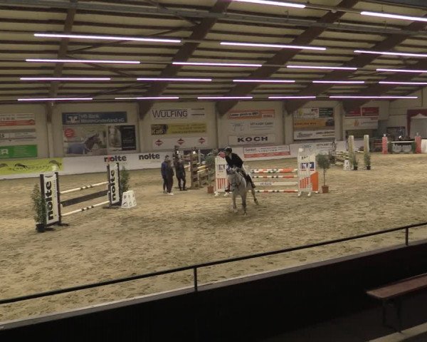 Reitturnier Borken 2023