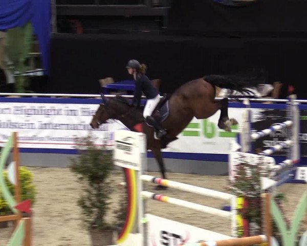 FEI Reitturnier Neumünster (GER) 2021