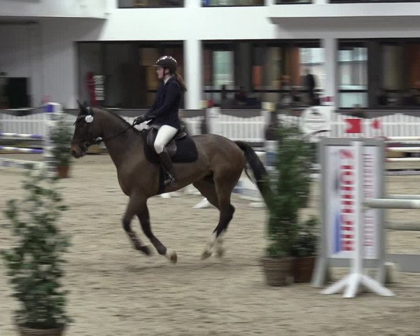 Reitturnier Münster-Handorf 2023