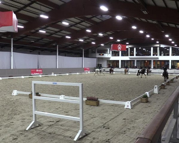 Reitturnier Münster-Handorf 2023