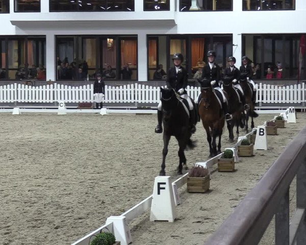 Reitturnier Münster-Handorf 2023