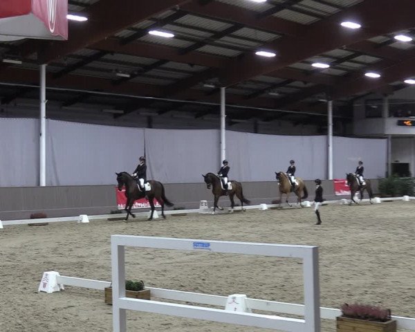 Reitturnier Münster-Handorf 2023