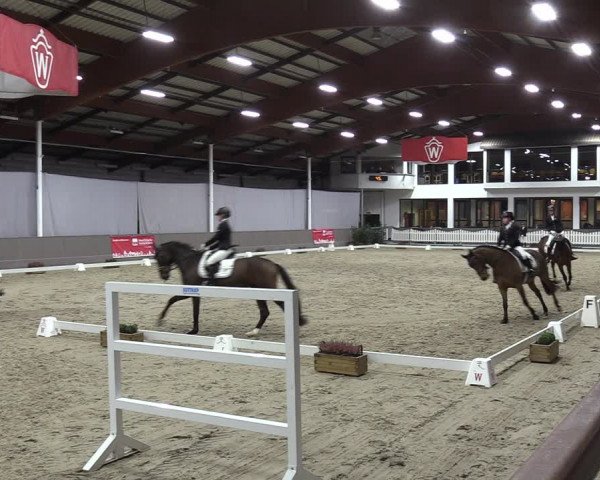 Reitturnier Münster-Handorf 2023