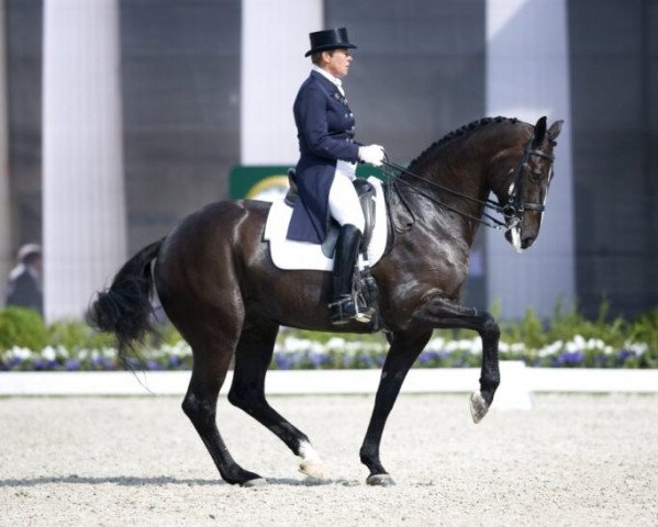 dressage horse Max (Swedish Warmblood, 1995, from Master 129 FIN)