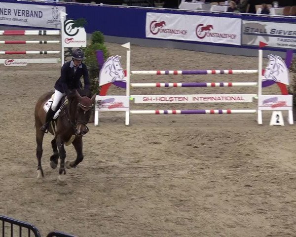 FEI Reitturnier Neumünster (GER) 2021