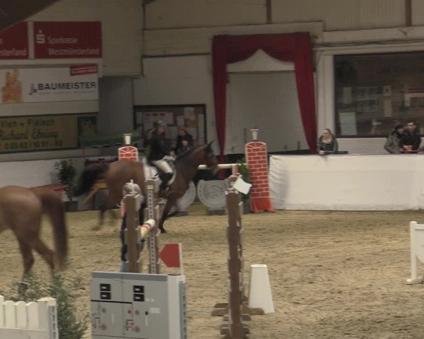 Reitturnier Borken 2023