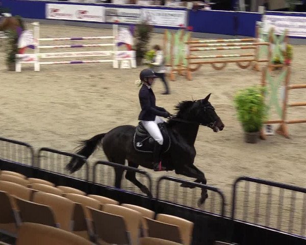 FEI Reitturnier Neumünster (GER) 2021