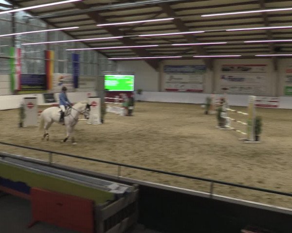Reitturnier Borken 2023