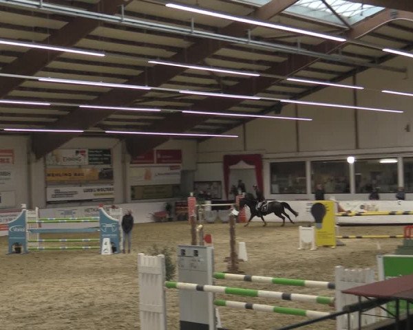 Reitturnier Borken 2023