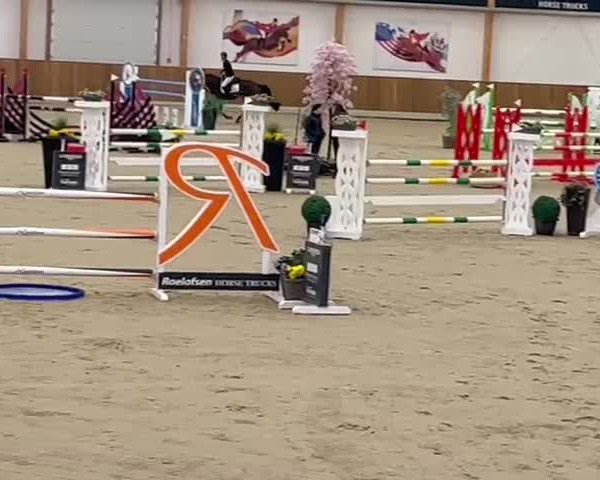 Video von Forlee