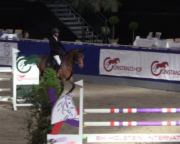 FEI Reitturnier Neumünster (GER) 2021