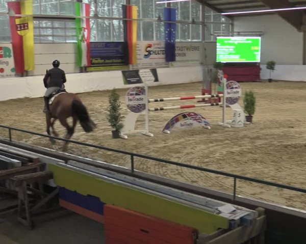 Reitturnier Borken 2023