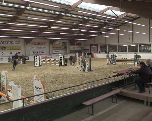 Reitturnier Borken 2023