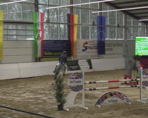 Reitturnier Borken 2023