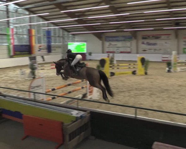 Reitturnier Borken 2023