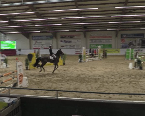 Reitturnier Borken 2023