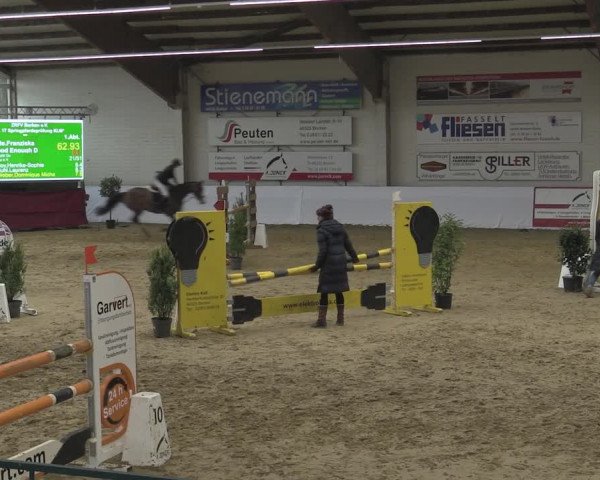 Reitturnier Borken 2023