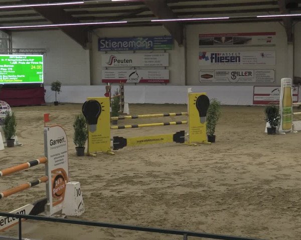 Reitturnier Borken 2023