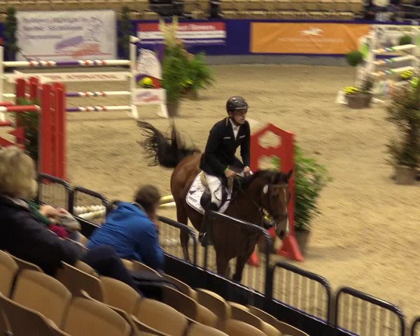 FEI Reitturnier Neumünster (GER) 2021