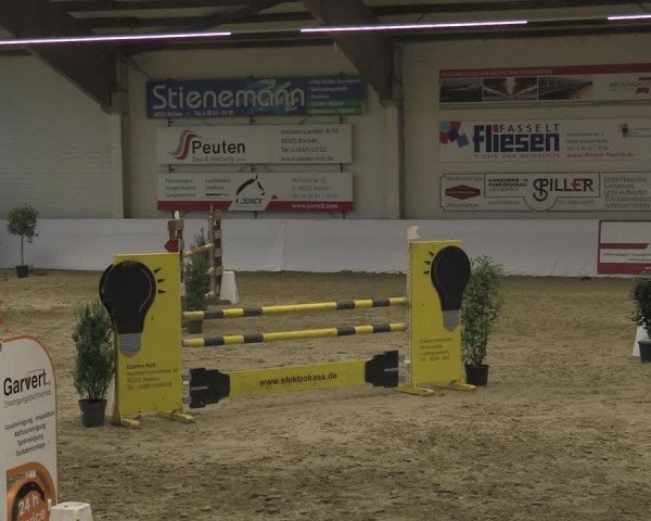 Reitturnier Borken 2023