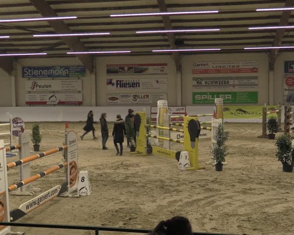 Reitturnier Borken 2023