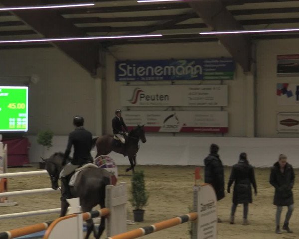 Reitturnier Borken 2023