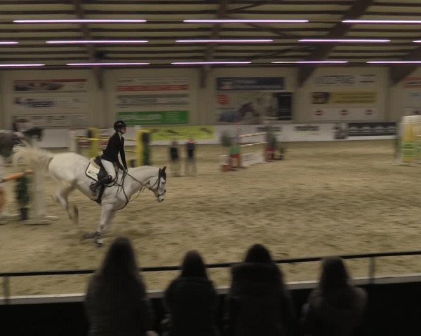 Reitturnier Borken 2023