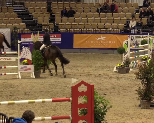 FEI Reitturnier Neumünster (GER) 2021