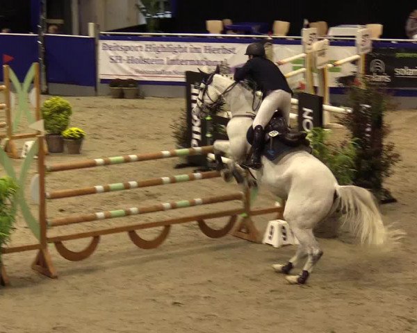 FEI Reitturnier Neumünster (GER) 2021