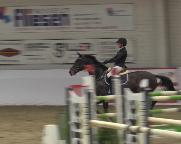 Reitturnier Borken 2023