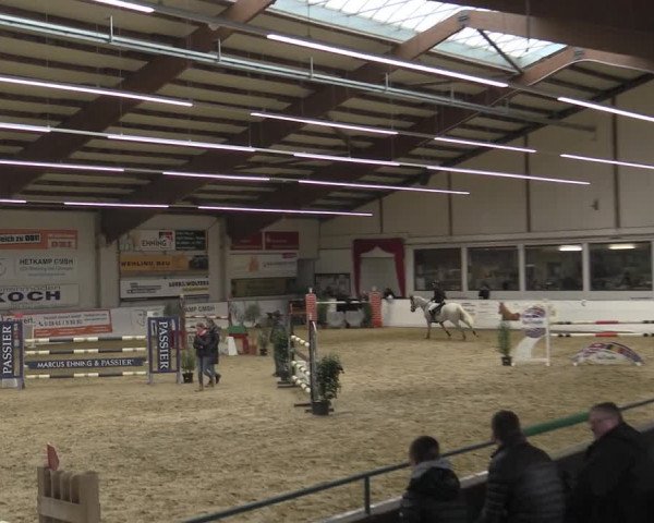 Reitturnier Borken 2023