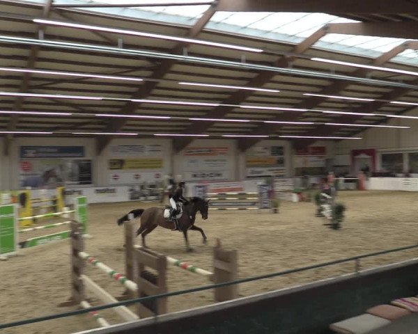 Reitturnier Borken 2023