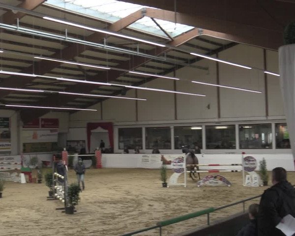 Reitturnier Borken 2023