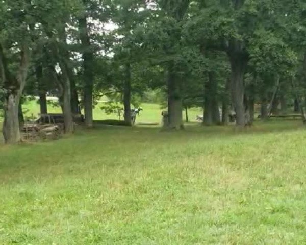 Video of Connor's little Star