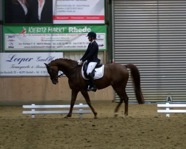 Reitturnier Rhede 2023
