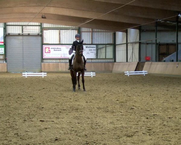 Reitturnier Rhede 2023