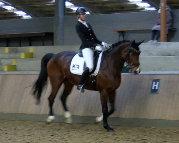 Reitturnier Rhede 2023