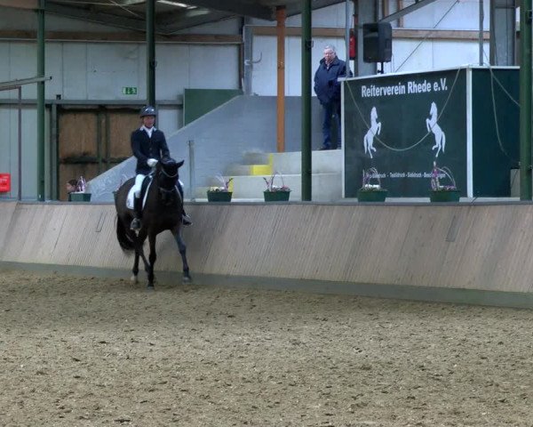Reitturnier Rhede 2023