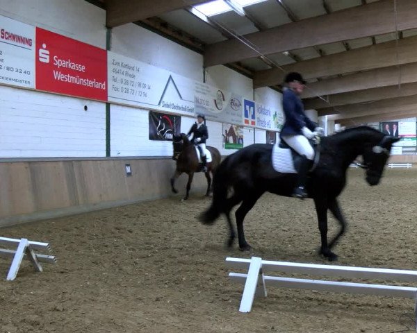 Reitturnier Rhede 2023