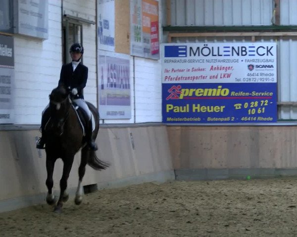 Reitturnier Rhede 2023