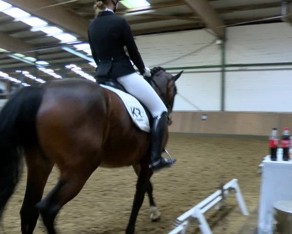 Reitturnier Rhede 2023