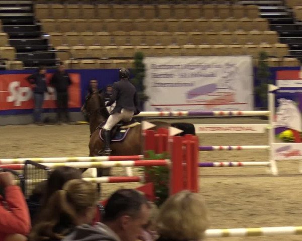 FEI Reitturnier Neumünster (GER) 2021