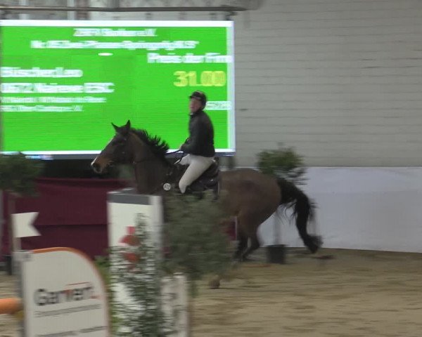 Reitturnier Borken 2023