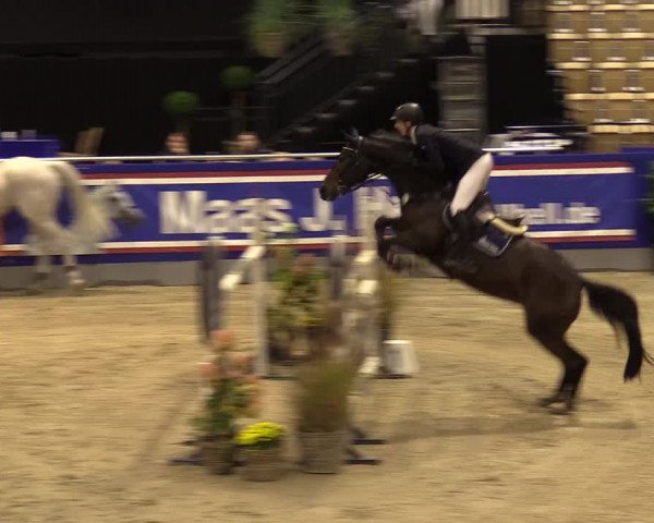 FEI Reitturnier Neumünster (GER) 2021