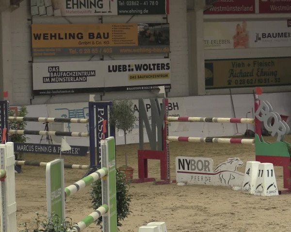 Reitturnier Borken 2023