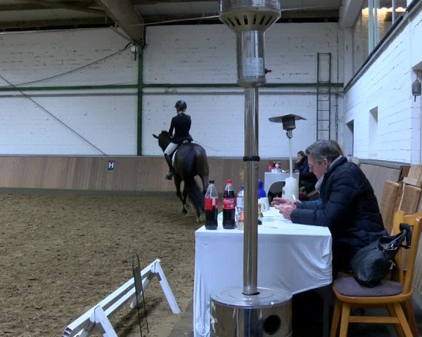Reitturnier Rhede 2023