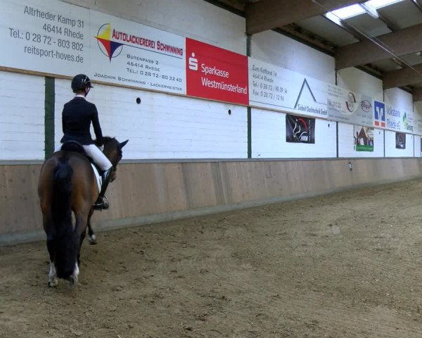 Reitturnier Rhede 2023