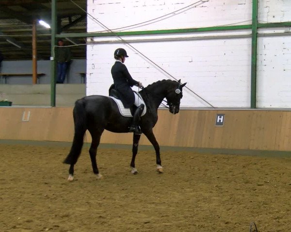 Reitturnier Rhede 2023